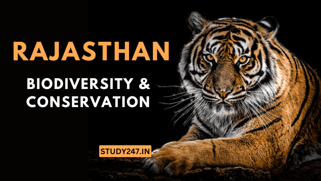 biodiversity,biodiversity of Rajasthan,biodiversity in rajasthan,biodiversity and conservation,